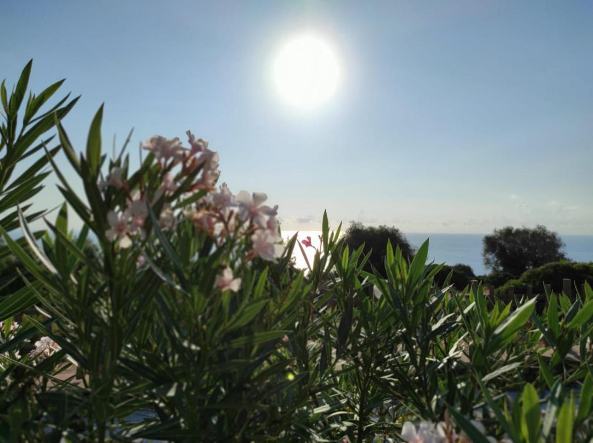 Casa Olivastra Βίλα Dorgali Εξωτερικό φωτογραφία